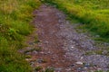 Path in Carphatian Mountains at sunset Royalty Free Stock Photo