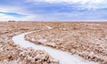 Path at the Cejar Lagoon in the Atacma desert, Chile