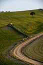 Path of the cereal pasture of the Sierra Oriental in Granada - Spain.