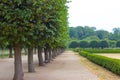 A path in the chateau park with tree-lines Royalty Free Stock Photo