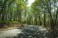 Path in Cheesequake state park in New Jersey NJ