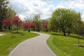 City Park Path in Springtime