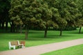 A path in a city summer park and a lonely bench for rest, a cityscape, a place for a walk in the park Royalty Free Stock Photo