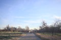 Path between a clearing and trees of a park Royalty Free Stock Photo