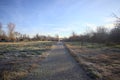 Path between a clearing and trees of a park Royalty Free Stock Photo