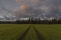 Path in color sunrise on green field near Vyhen village in south Bohemia