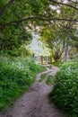 A Path in the Countryside Royalty Free Stock Photo