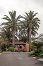 Path in a courtyard with palm trees Royalty Free Stock Photo