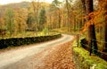 Path covered with fall leaves Thirlmere, Keswick, Cumbria Royalty Free Stock Photo