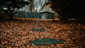 A Path Covered in Leaves Leading Up to a Hole in a Fence that leads into a backyard