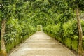 Path Covered by Trees and Bushes