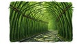 A path curves through an imaginative bamboo forest, with tall green bamboo stalks Royalty Free Stock Photo