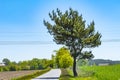 A path for cyclists and skaters in the local recreational area `Flaeming-Skate` near Berlin, Germany Royalty Free Stock Photo