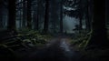 Path in a dark and scary forest Royalty Free Stock Photo