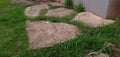 Path of decorative stones grass grows between them Royalty Free Stock Photo