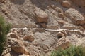 Path in the Desert Oasis of Ein Gedi, Israel Royalty Free Stock Photo