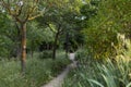 Path. Dirt and sand road surrounded by green vegetation. Gray mold Botrytis cinerea on tree trunks. Royalty Free Stock Photo