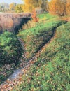 The path is divided into two paths covered with fallen autumn foliage, leading in different directions. Conceptual landscape