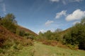 Path in Doone Valley, Exmoor, North Devon
