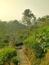 Path down the green hill Royalty Free Stock Photo