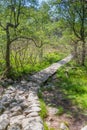 Path down from Preikestolen