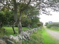 Path and drystone wall Royalty Free Stock Photo