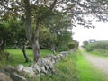 Path and drystone wall