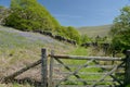 Path in Duddon Valley, Lake District Royalty Free Stock Photo
