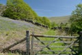 Path in Duddon Valley, Lake District