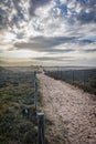 Path in the dunes of la Gachere Royalty Free Stock Photo