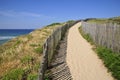 Path in the dunes of Quiberon in france Royalty Free Stock Photo