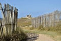 Path in the dunes of Quiberon in France Royalty Free Stock Photo