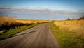 Path through the dunes at the wadden sea Germany Royalty Free Stock Photo