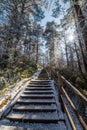 Path in the Emei Mountain in winter Royalty Free Stock Photo