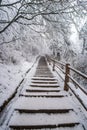 Path in the Emei Mountain in winter Royalty Free Stock Photo