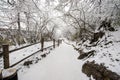 Path in the Emei Mountain in winter Royalty Free Stock Photo