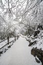 Path in the Emei Mountain in winter Royalty Free Stock Photo
