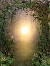Path through enchanting fairytale deep forest view with beautiful heavenly sunset