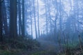 A path in the English countryside. On an atmospheric, foggy winters day. Cotswolds. UK