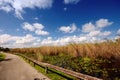 A path through the Everglades