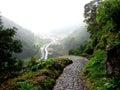 Path in Faial da Terra, Azores.