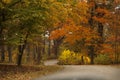 A path through the fall colors at the Morton Arboretum in Lisle, Illinois. Royalty Free Stock Photo