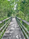 path in Fern Forest Nature Center