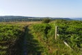 Path through ferns and heather across Lawence Field Royalty Free Stock Photo