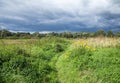 Path through field and forest