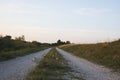 a path in a field before sunset Royalty Free Stock Photo