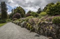 Path beside flowered wall on Anglesey, Wales, UK