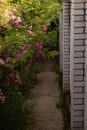 Path between flowers and a brick fence. Royalty Free Stock Photo