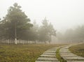 The path in the fog Royalty Free Stock Photo