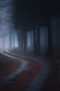Path in foggy dark forest Royalty Free Stock Photo